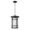 Z-Lite Jordan 1 Light Outdoor Chain Mount Ceiling Fixture, Black And Clear Seedy 570CHB-BK - alternate 4